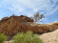 Petra &ndash; &copy; Britt Reuter-Bracklow (Eberhardt TRAVEL)