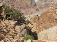 Petra &ndash; &copy; Britt Reuter-Bracklow (Eberhardt TRAVEL)
