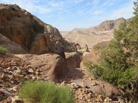 Petra &ndash; &copy; Britt Reuter-Bracklow (Eberhardt TRAVEL)