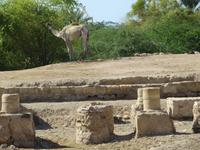 Aquaba &ndash; &copy; Britt Reuter-Bracklow (Eberhardt TRAVEL)