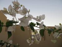 Aquaba &ndash; &copy; Britt Reuter-Bracklow (Eberhardt TRAVEL)