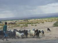 &copy; Britt Reuter-Bracklow (Eberhardt TRAVEL)