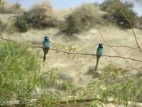 &copy; Britt Reuter-Bracklow (Eberhardt TRAVEL)