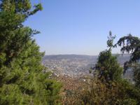 Blick von der Burg 