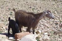 Unterwegs in Petra &ndash; &copy; Annett Müller (Eberhardt TRAVEL)