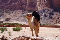 Wadi Rum &ndash; &copy; Annett Müller (Eberhardt TRAVEL)