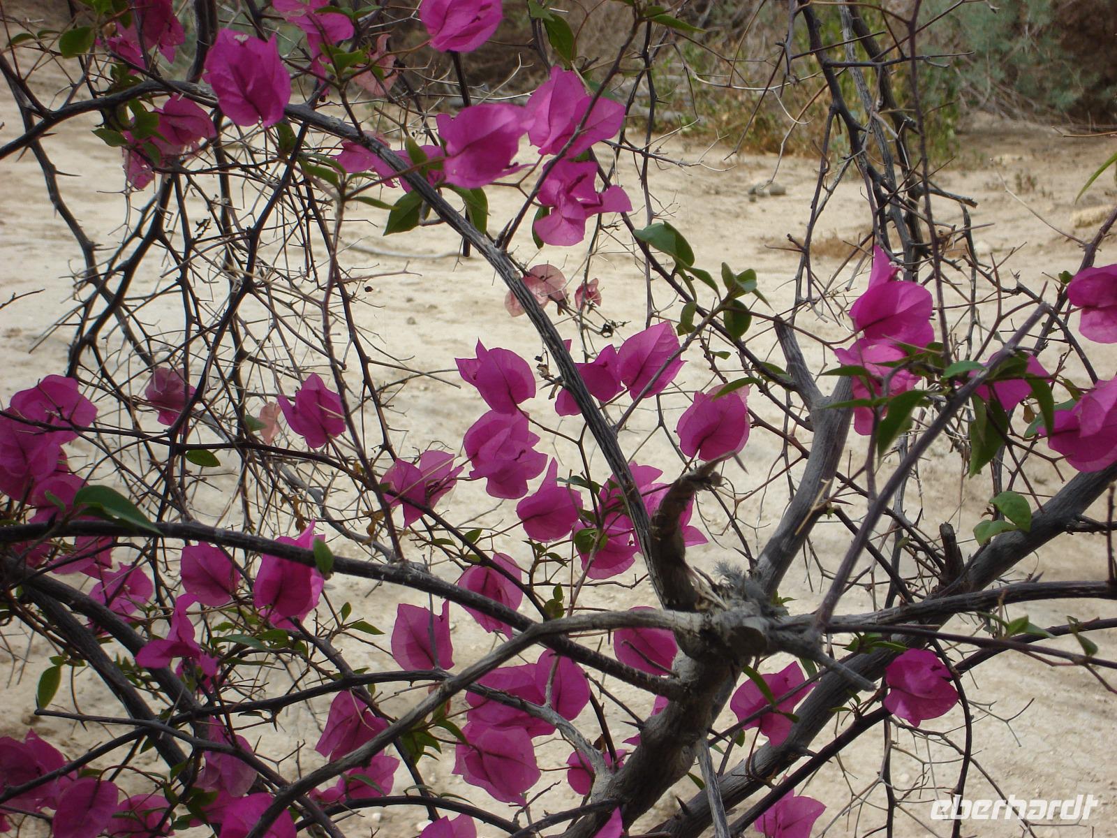 am Jordan &ndash; &copy; Inge Bily (Eberhardt TRAVEL)