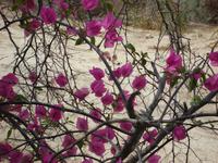 am Jordan &ndash; &copy; Inge Bily (Eberhardt TRAVEL)