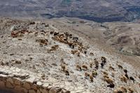 115 – Wadi Mujib &ndash; &copy; Vivien Fiedler (Eberhardt TRAVEL)