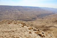 118 – Wadi Mujib &ndash; &copy; Vivien Fiedler (Eberhardt TRAVEL)