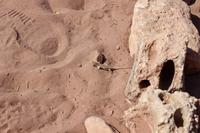 170 – Petra &ndash; &copy; Vivien Fiedler (Eberhardt TRAVEL)