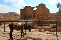 234 – Petra &ndash; &copy; Vivien Fiedler (Eberhardt TRAVEL)