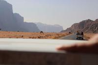 241 – Wadi Rum &ndash; &copy; Vivien Fiedler (Eberhardt TRAVEL)