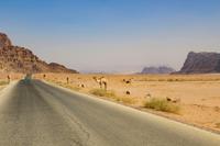 243 – Wadi Rum &ndash; &copy; Vivien Fiedler (Eberhardt TRAVEL)