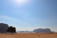 248 – Wadi Rum &ndash; &copy; Vivien Fiedler (Eberhardt TRAVEL)