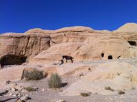 typisches Bild für Petra &ndash; &copy; Patrick Fritzsche (Eberhardt TRAVEL)