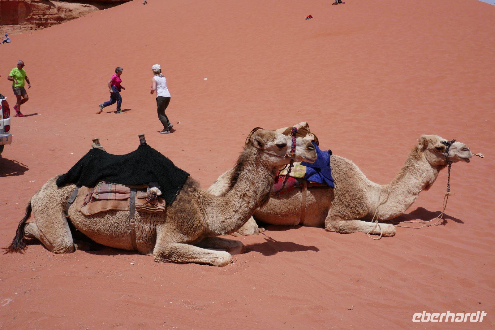 P1000436 &ndash; &copy; Philipp Schmitz (Eberhardt TRAVEL)