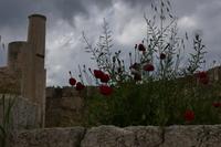 P1000185 &ndash; &copy; Philipp Schmitz (Eberhardt TRAVEL)
