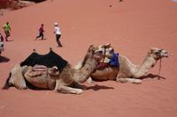 P1000436 &ndash; &copy; Philipp Schmitz (Eberhardt TRAVEL)