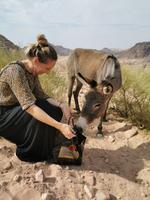 Petra  &ndash; &copy; Isabel Zwanzig (Eberhardt TRAVEL)