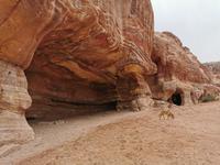 Petra  &ndash; &copy; Isabel Zwanzig (Eberhardt TRAVEL)