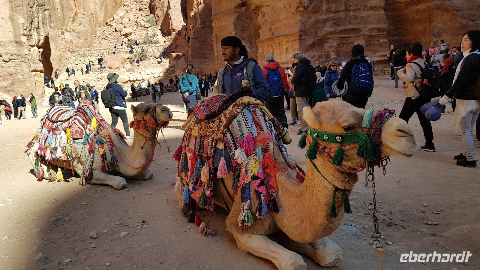Petra &ndash; &copy; Marlies Thrum (Eberhardt TRAVEL)