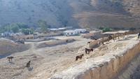 Petra &ndash; &copy; Marlies Thrum (Eberhardt TRAVEL)
