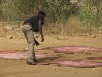 Extreme North: Maroua - Gerberei