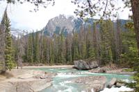Kicking Horse Fluss &ndash; &copy; Elisa Müller (Eberhardt TRAVEL)
