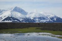 ein Traum von Alaska &ndash; &copy; Elisa Müller (Eberhardt TRAVEL)