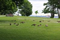 Stanley Park &ndash; &copy; Elisa Müller (Eberhardt TRAVEL)