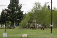 Besuch in der 