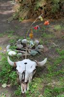 Hat Creek Ranch &ndash; &copy; Astrid Kunath (Eberhardt TRAVEL)