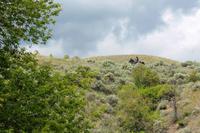 Hat Creek Ranch &ndash; &copy; Astrid Kunath (Eberhardt TRAVEL)