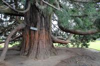 Victoria &ndash; &copy; Astrid Kunath (Eberhardt TRAVEL)