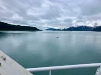 Ein Wal ? Eine Eisscholle in Schwarz ? &ndash; &copy; Elisabeth Fox-Maerki (Eberhardt TRAVEL)