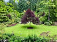 Der ausgewogene Garten &ndash; &copy; Elisabeth Fox-Maerki (Eberhardt TRAVEL)