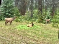Kaffeekraenzchen der Wapiti-Damen mit Kids &ndash; &copy; Elisabeth Fox-Maerki (Eberhardt TRAVEL)