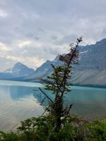 Bow Lake  &ndash; &copy; Elisabeth Fox-Maerki (Eberhardt TRAVEL)