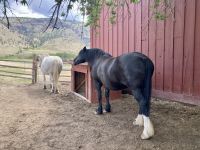 Hat Creek Ranch &ndash; &copy; Mareike Schmidt (Eberhardt TRAVEL)