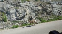 &copy; Franziska Bergmann (Eberhardt TRAVEL)