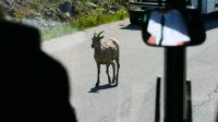 &copy; Franziska Bergmann (Eberhardt TRAVEL)