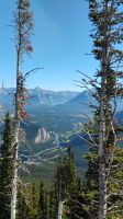 Ausblick auf Bow River und 