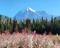 1000076855.jpg &ndash; &copy; Monika Cortese (Eberhardt TRAVEL)
