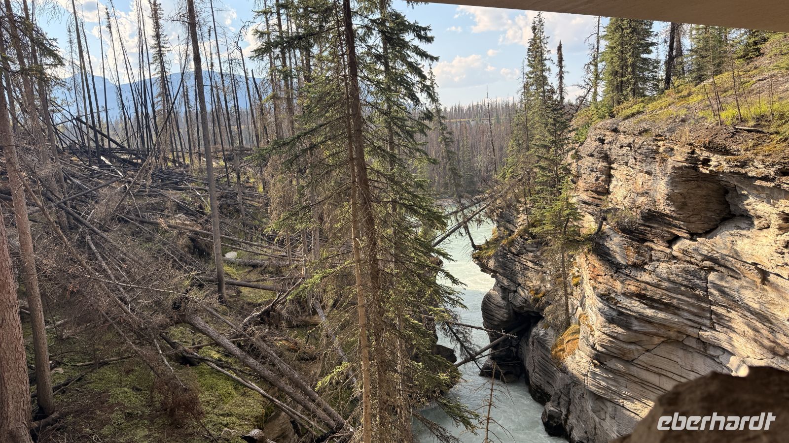 Tag 3, Athabasca Wasserfälle im Jasper Nationalpark  &ndash; &copy; Leon Prinz (Eberhardt TRAVEL)