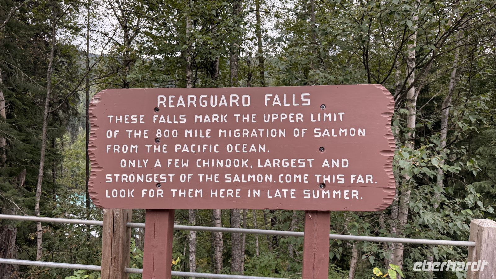 Tag 5, Stopp an den Rearguard Falls &ndash; &copy; Leon Prinz (Eberhardt TRAVEL)