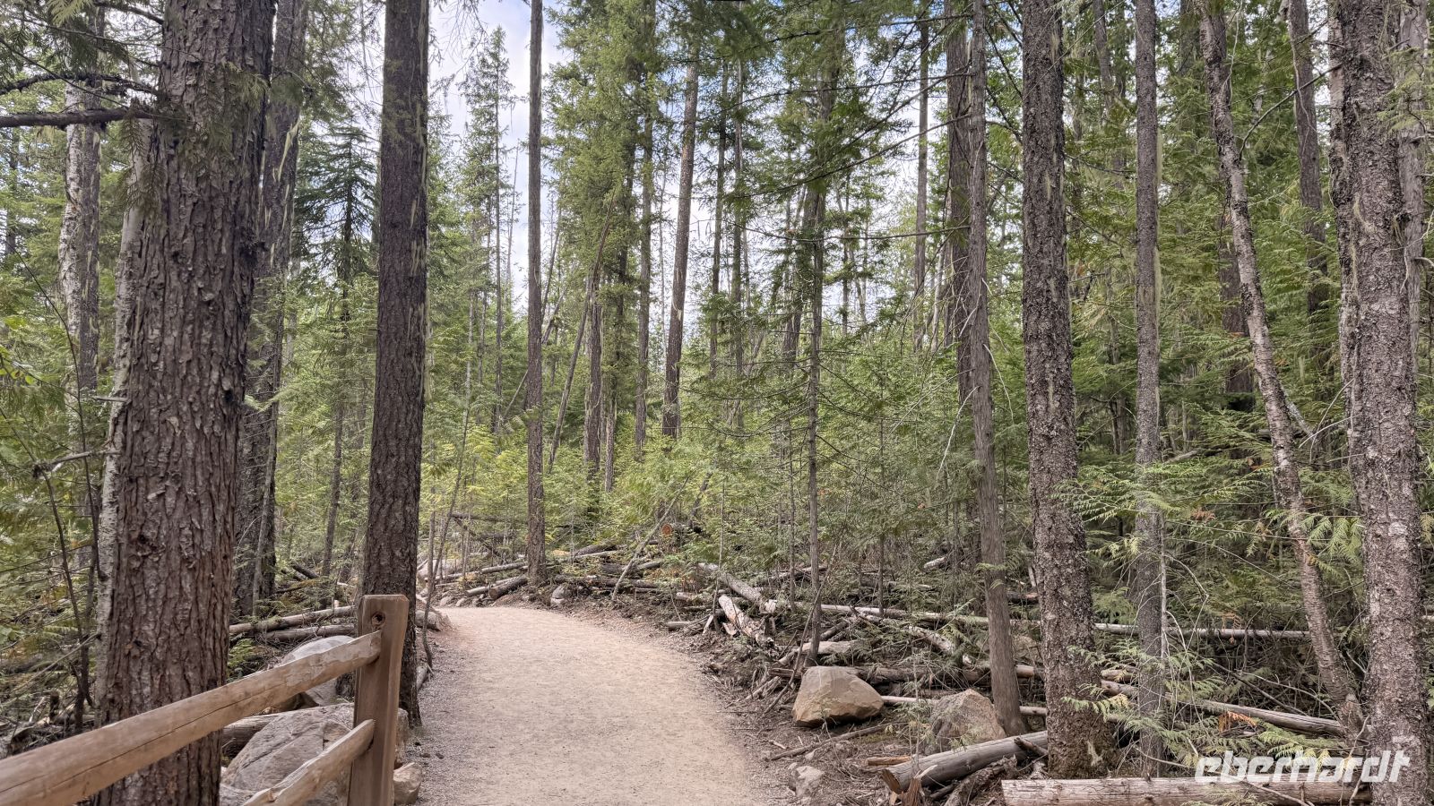 Tag 5, Spaziergang Spahat Falls im Wells Gray Provincial Park &ndash; &copy; Leon Prinz (Eberhardt TRAVEL)