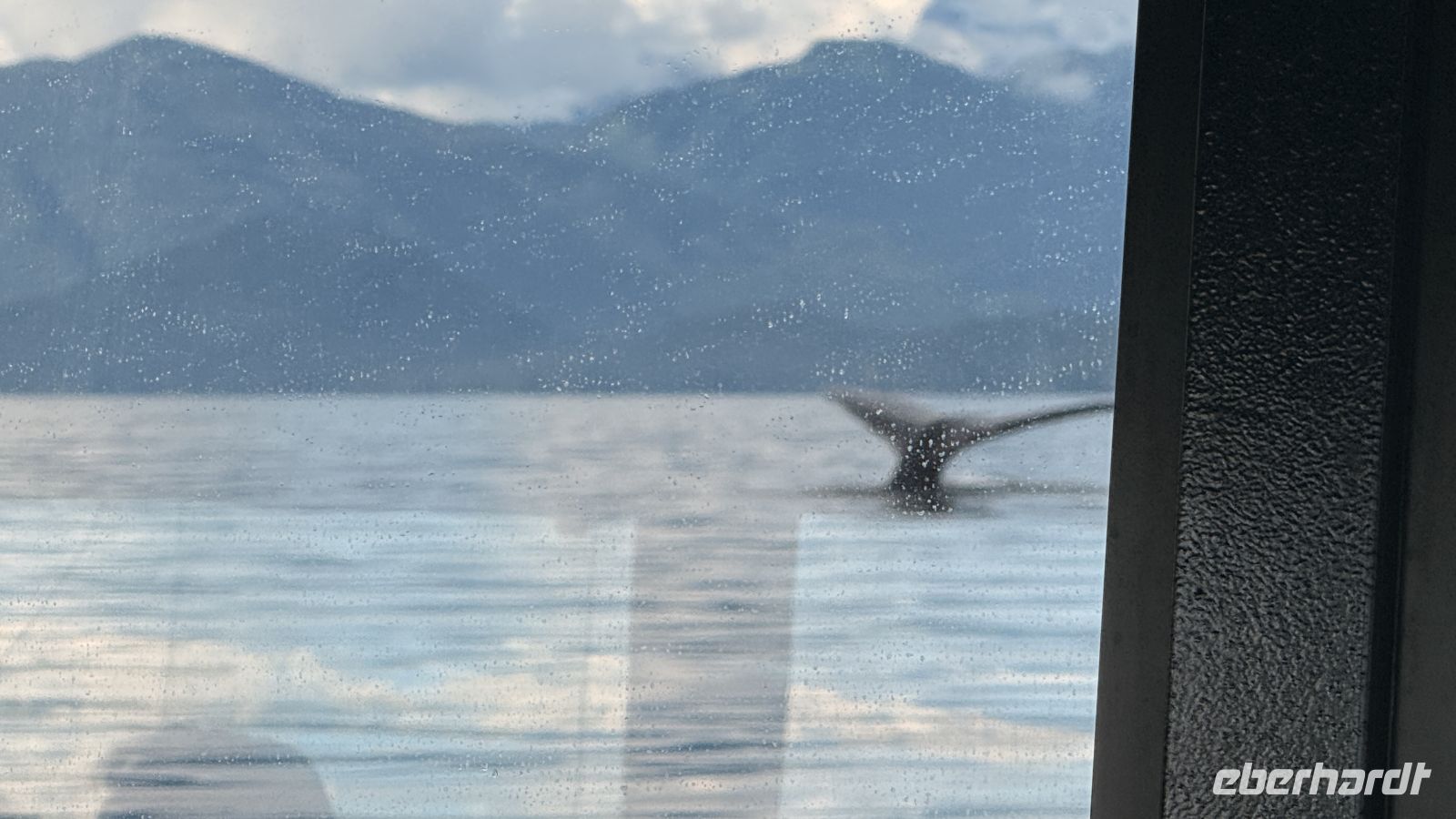 Tag 11, Juneau, Walbeobachtung  &ndash; &copy; Leon Prinz (Eberhardt TRAVEL)