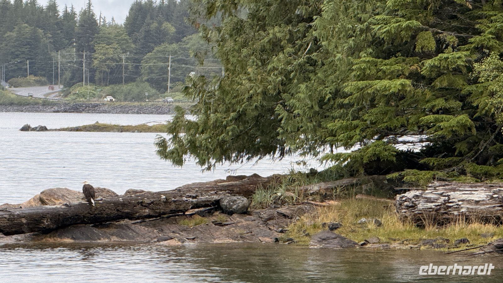Tag 14, Ketchikan - Lighthouse, Tomtems, Eagles Exkursion &ndash; &copy; Leon Prinz (Eberhardt TRAVEL)