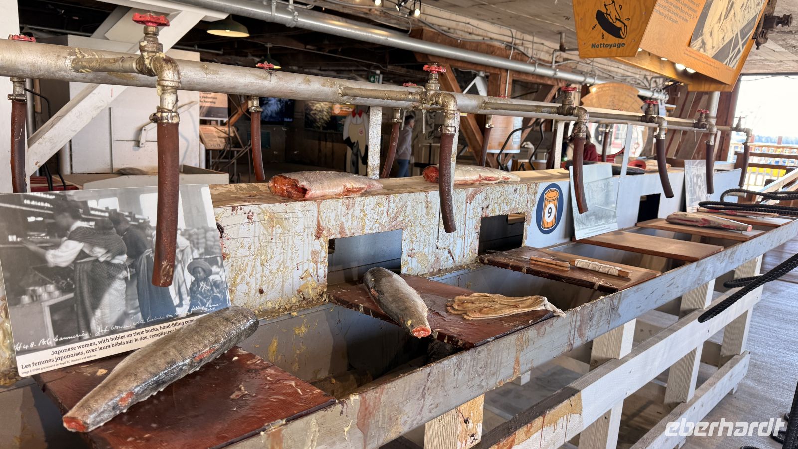 Tag 16, Ausschiffung - Ausflug Fischerort Steveston &ndash; &copy; Leon Prinz (Eberhardt TRAVEL)